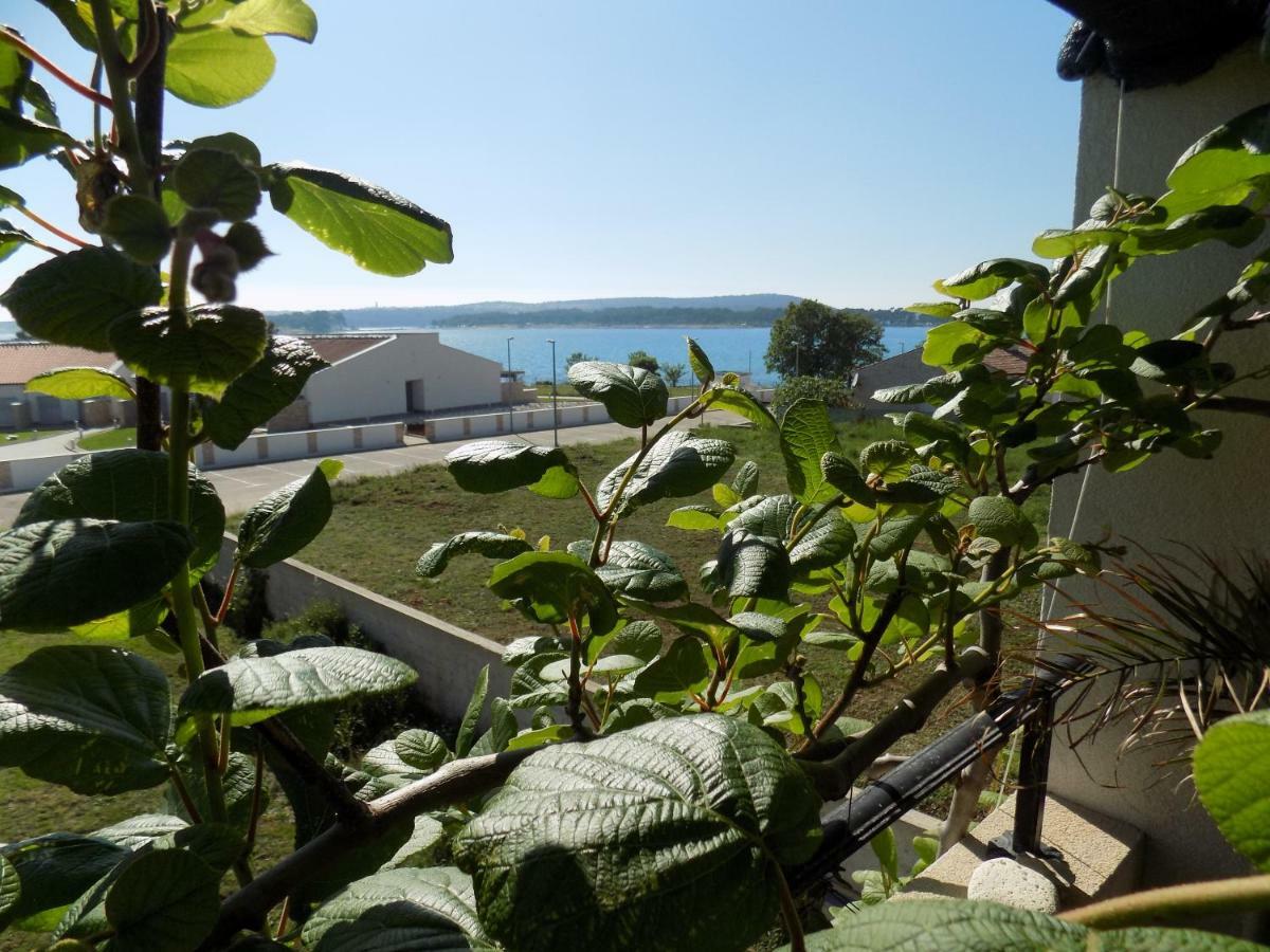 Apartment Erzen 140 Medulin